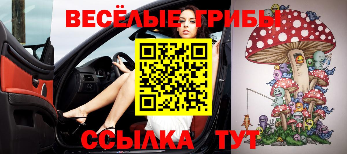 Псилоцибиновые грибы MAGIC MUSHROOMS  Вход с VPN  Энгельс  Псилоцибиновые грибы GOLDEN TEACHER 
