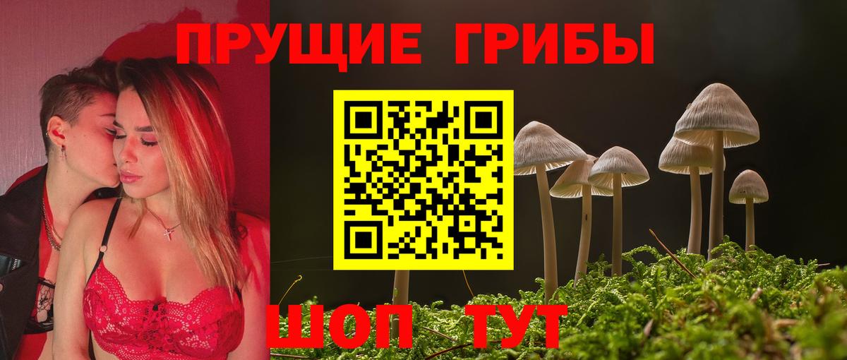 Псилоцибиновые грибы мицелий Энгельс